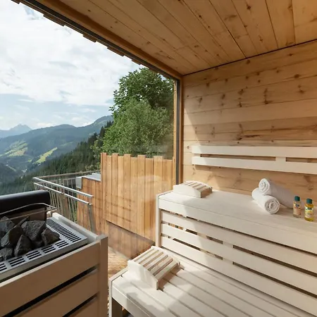Highking Gruenegg シャレー Dienten am Hochkönig