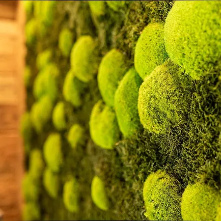 Highking Gruenegg Horská chata *