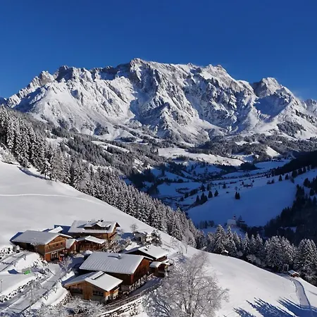 Chalet Highking Gruenegg Dienten am Hochkönig