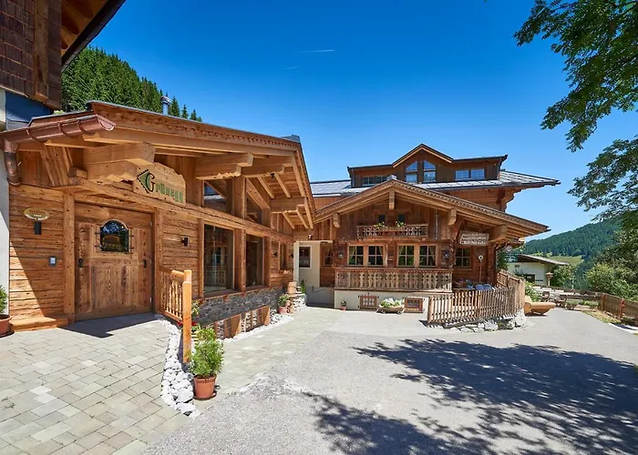 シャレー Highking Gruenegg Dienten am Hochkönig