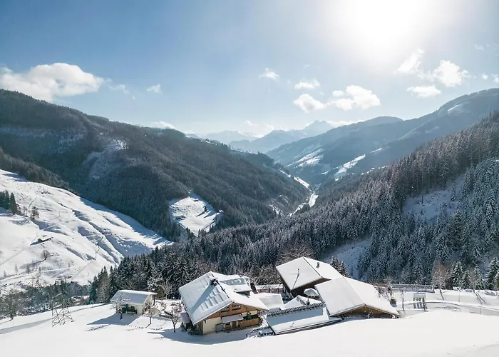 Highking Gruenegg * 디엔텐암호크코니그