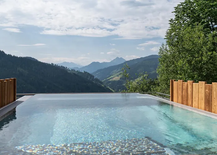 Chalet Highking Gruenegg Dienten am Hochkönig
