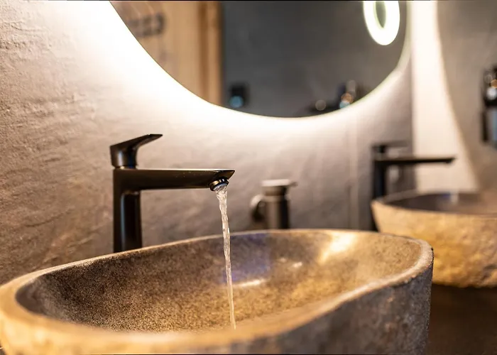 Highking Gruenegg シャレー Dienten am Hochkönig