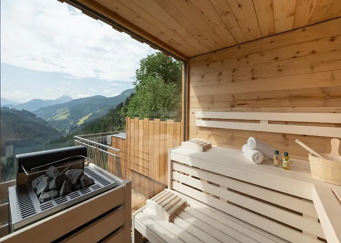 Highking Gruenegg シャレー Dienten am Hochkönig