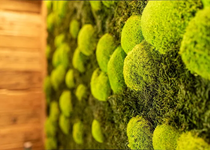 Highking Gruenegg シャレー *